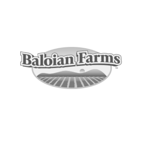 Baloian_logo
